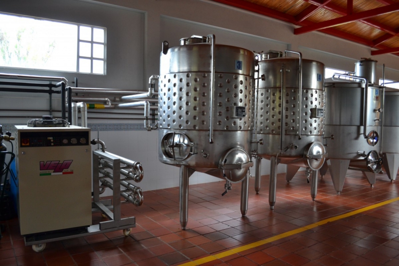 cave-LES FERRES-min_wine_production_cantine_winery_drink_alcohol_vine_beverage-902036